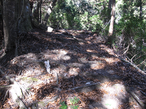 20190121hike (93)